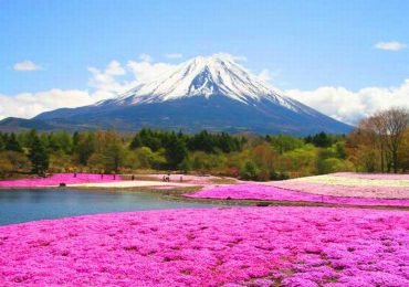 Núi Phú Sĩ, du lịch Nhật Bản