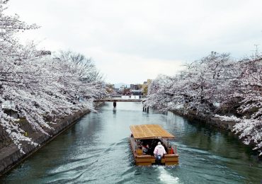 Bờ sông Yamazakigawa, du lịch Nhật Bản