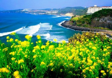 Du lịch đảo Jeju Hàn Quốc