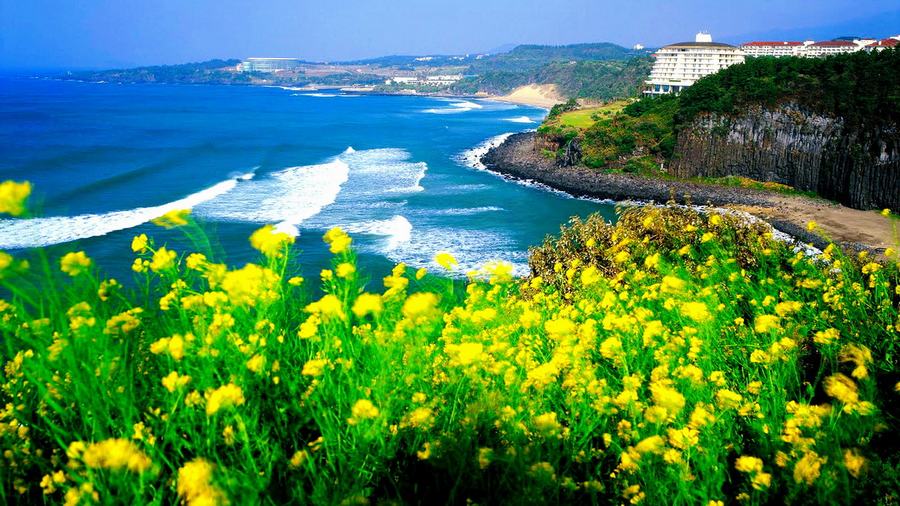 Du lịch đảo Jeju Hàn Quốc