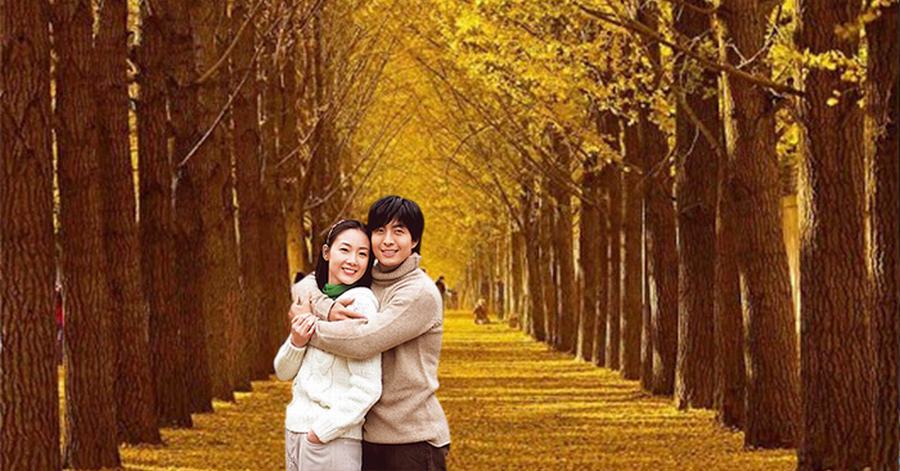 Du lịch đảo Nami, Hàn Quốc