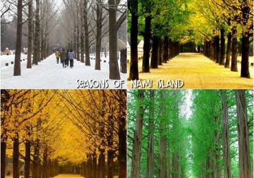 Du lịch Hàn Quốc tham quan Đảo Namin