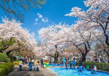 Công viên Ueno, du lịch Nhật Bản