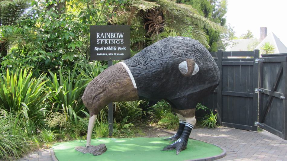 Rainbow Springs Rotorua, du lịch New Zealand