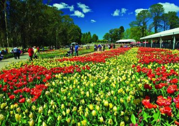 Công viên Commonwealth, Canberra, du lịch Úc