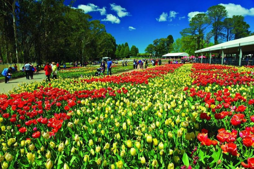 cong-vien-Commonwealth-Canberra-uc