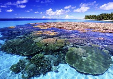 Đảo Koh Coral du lịch Pattaya Thái Lan