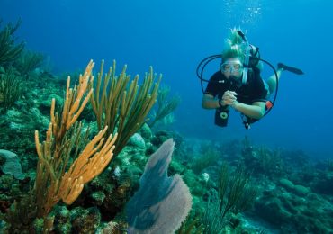 Lặn ngắm san hô Koh Coral, du lịch Pattaya Thái Lan