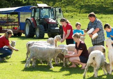 Nông trại Agrodome, du lịch New Zealand