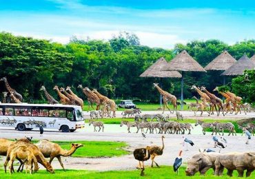 Safari World,du lịch Bangkok Thái Lan