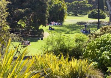 Vườn Royal Botanic Garden, Sydney, du lịch Úc