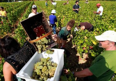 Vườn Nho Hồ Bac, Pattaya, du lịch Thái Lan