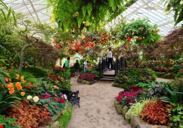 Vườn thực vật Fitzroy, Melbourne, du lịchÚc