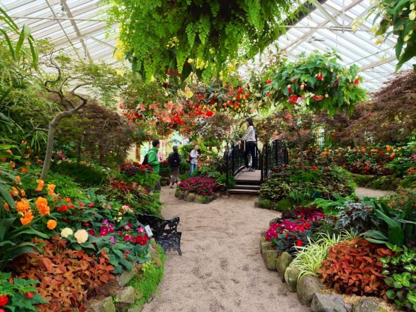 vuon-thuc-vat-Fitzroy-Melbourne-uc