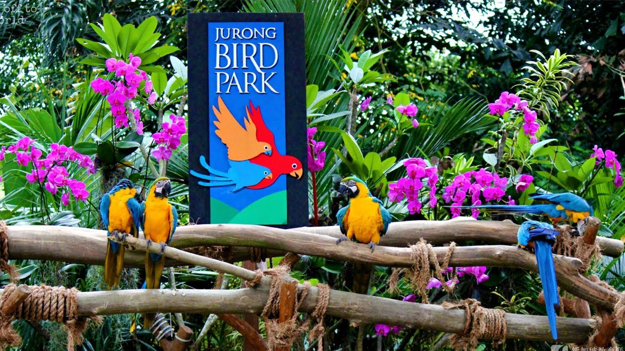 Vườn chim Jurong, du lịch Singapore