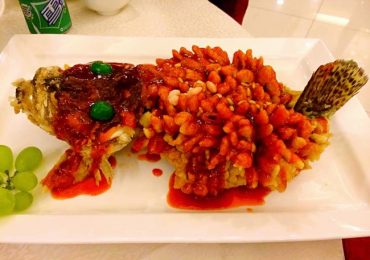 Cá chiên truyền thống, du lịch Tô Châu, Trung Quốc