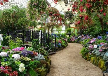 Vườn thực vật Fitzroy, du lịch Úc