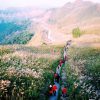 Du lịch thiên đường cỏ lau Bình Liêu Quảng Ninh